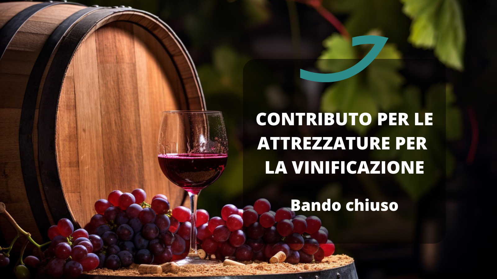 contributo attrezzature vinificazione